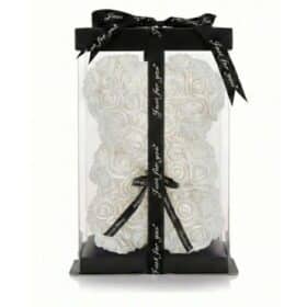 Trëndafil i Bardhë me Fjongo